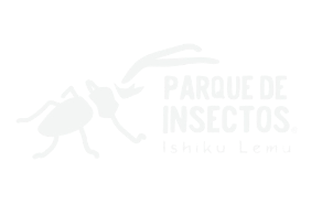 Ishiku Lemu | Espacio de educación ambiental, protección del medio ambiente y conservación de la selva valdiviana.